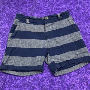 U.S. Polo Assn Blue stripe Shorts